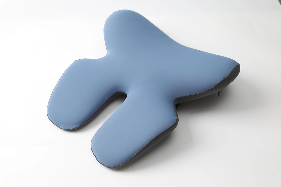 Thumbnail: כרית משענת גב אורטופדית OrthoBack