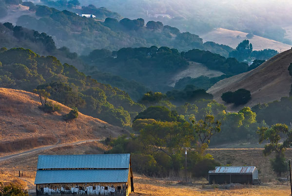 Nyland Barn_edited.jpg