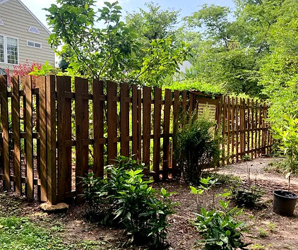 Fence_edited.jpg