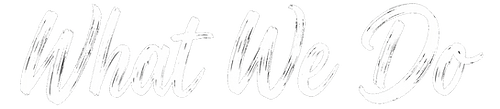 What We Do_edited.png