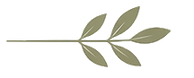 1128.png