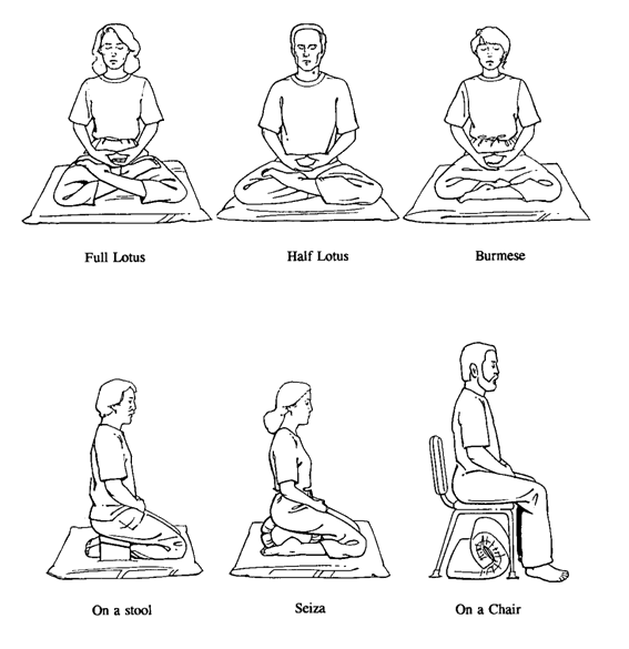 Sitting Guide.gif