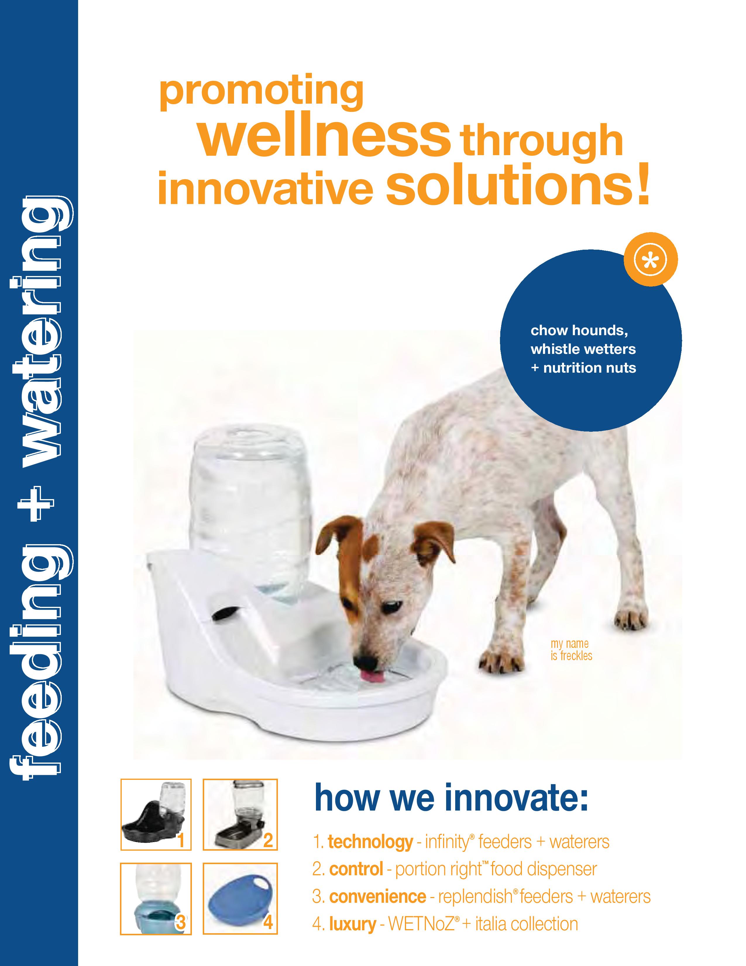 Our Services Emirates Animals Export Co Ltd