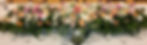 Lenoci41_edited.jpg