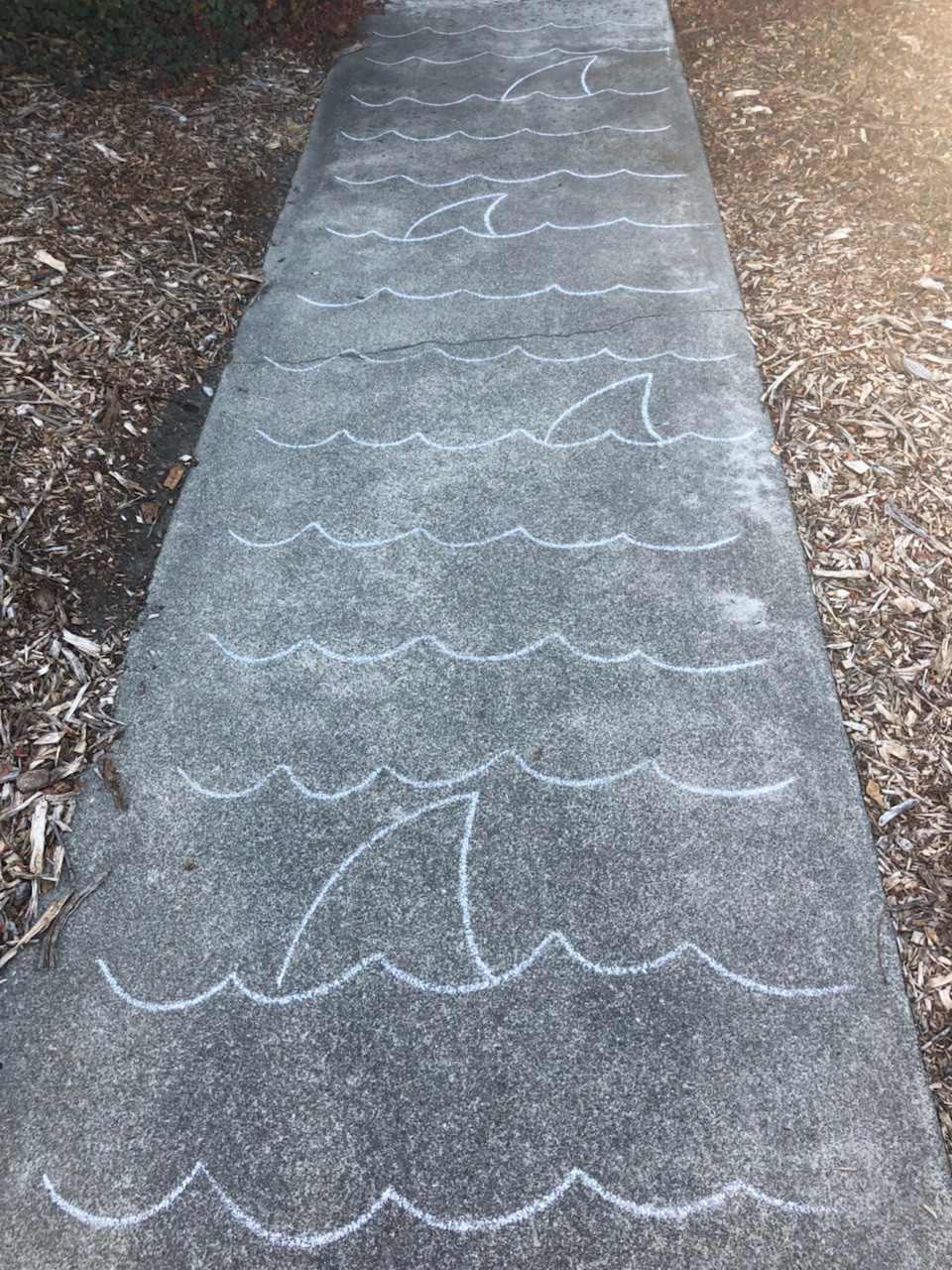 shark walkway