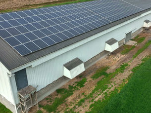 Latest Developments on Avian Influenza in the EU