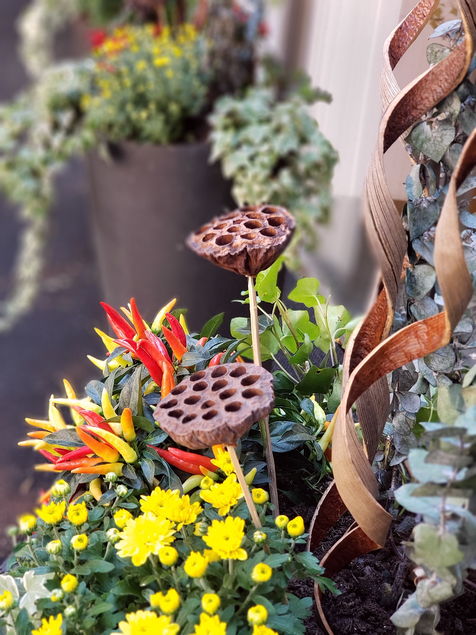 Thumbnail: Entry Planters -Design & Install - Medium (Planter not included)