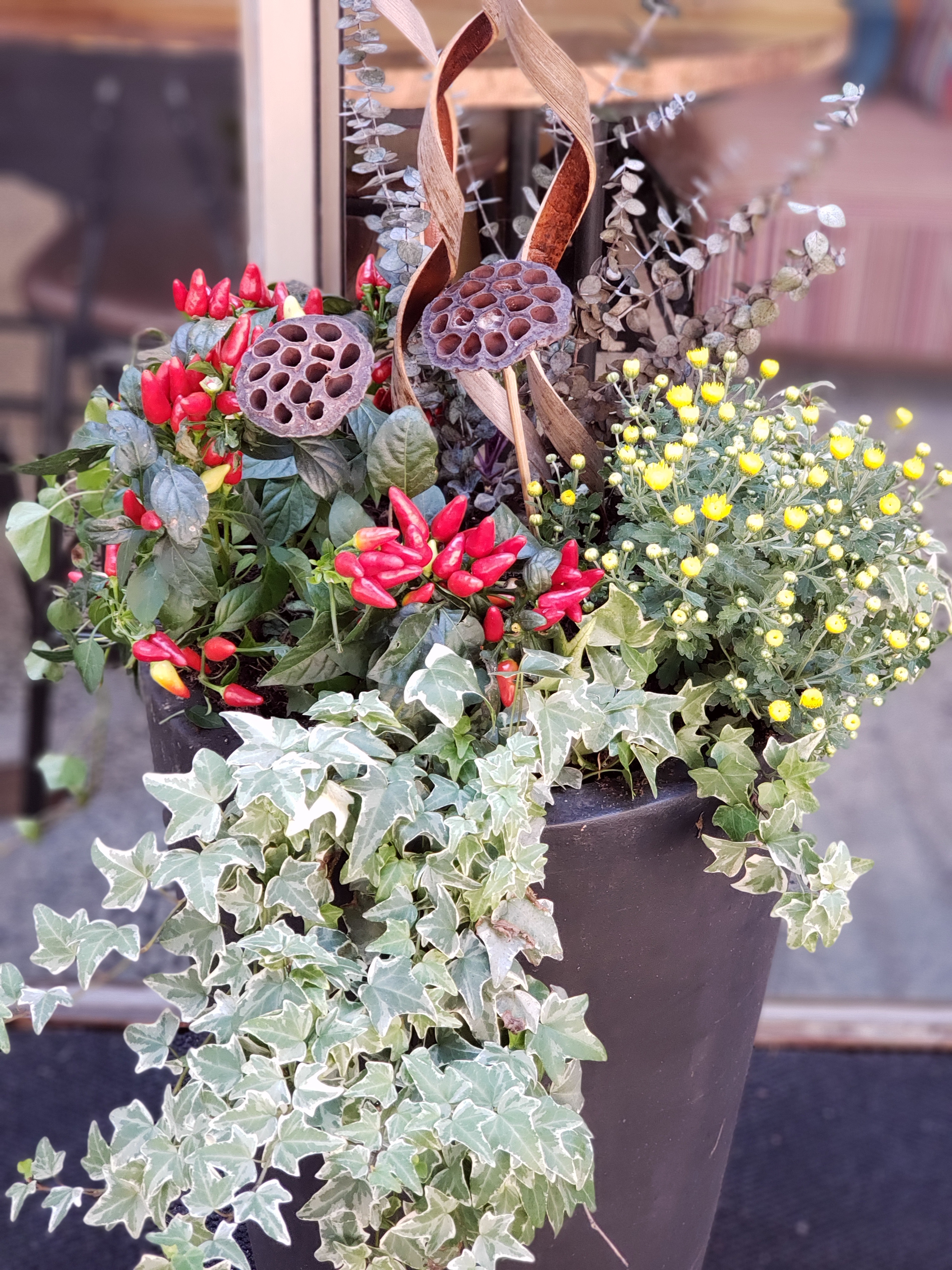 Entry Planters -Design & Install - Medium (Planter not included)