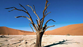 Fé Sem Obras é Morta