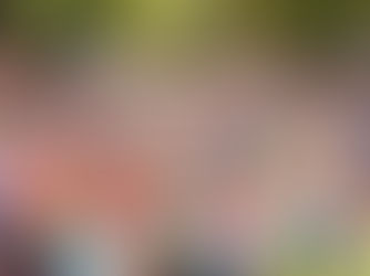 Why We Cry at the Marathon: Collective Joy & The Spectator Spirit