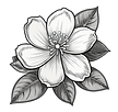 Gardenia2.png