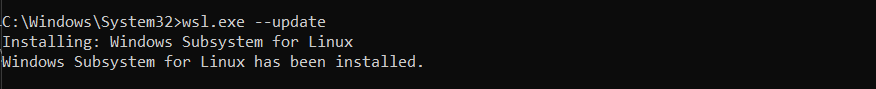 The Windows command Prompt window