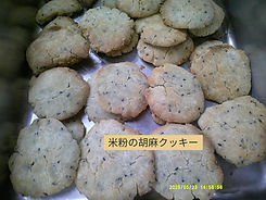DSCF0081_edited.jpg