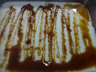 DSC08147.JPG