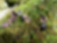 DSCN0232.JPG