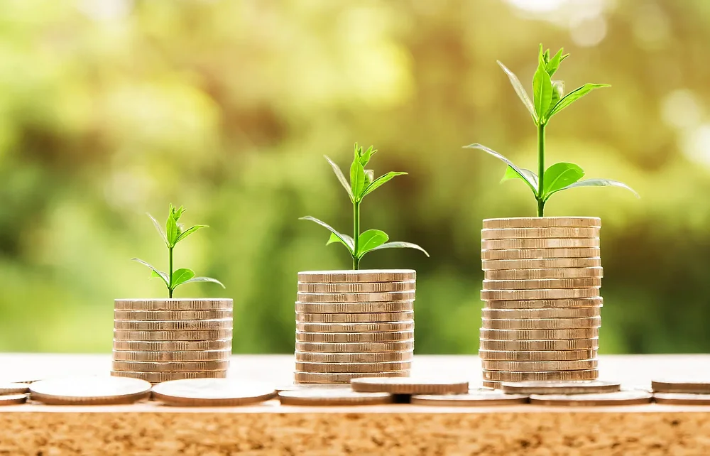 How to Scale Your Business