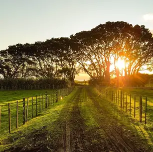 How to Overcome Burnout