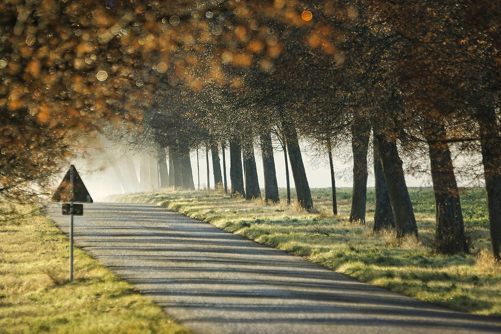 The Path to Financial Freedom
