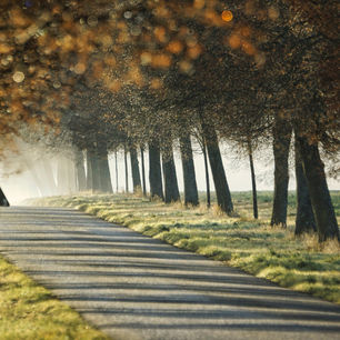 The Path to Financial Freedom