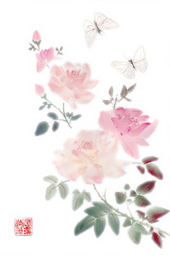Pink Roses and White Butterflies.jpg