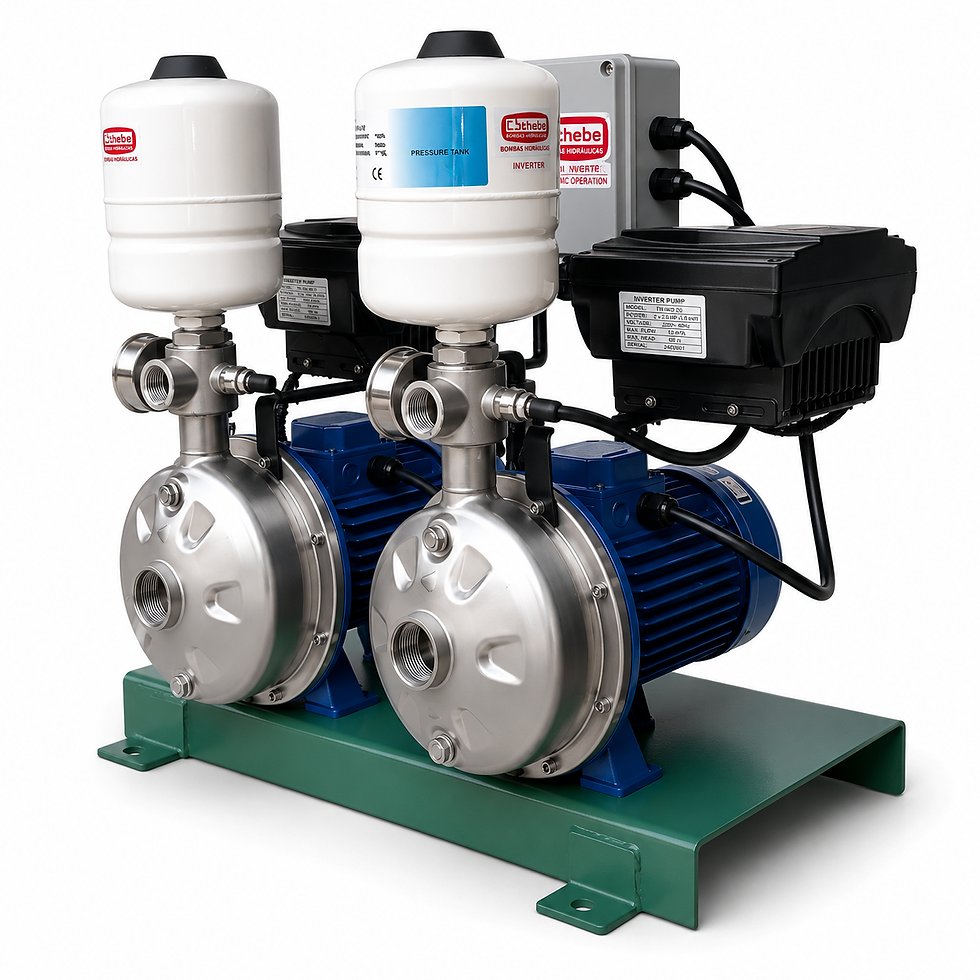 thebe-inverter-w-02.png
