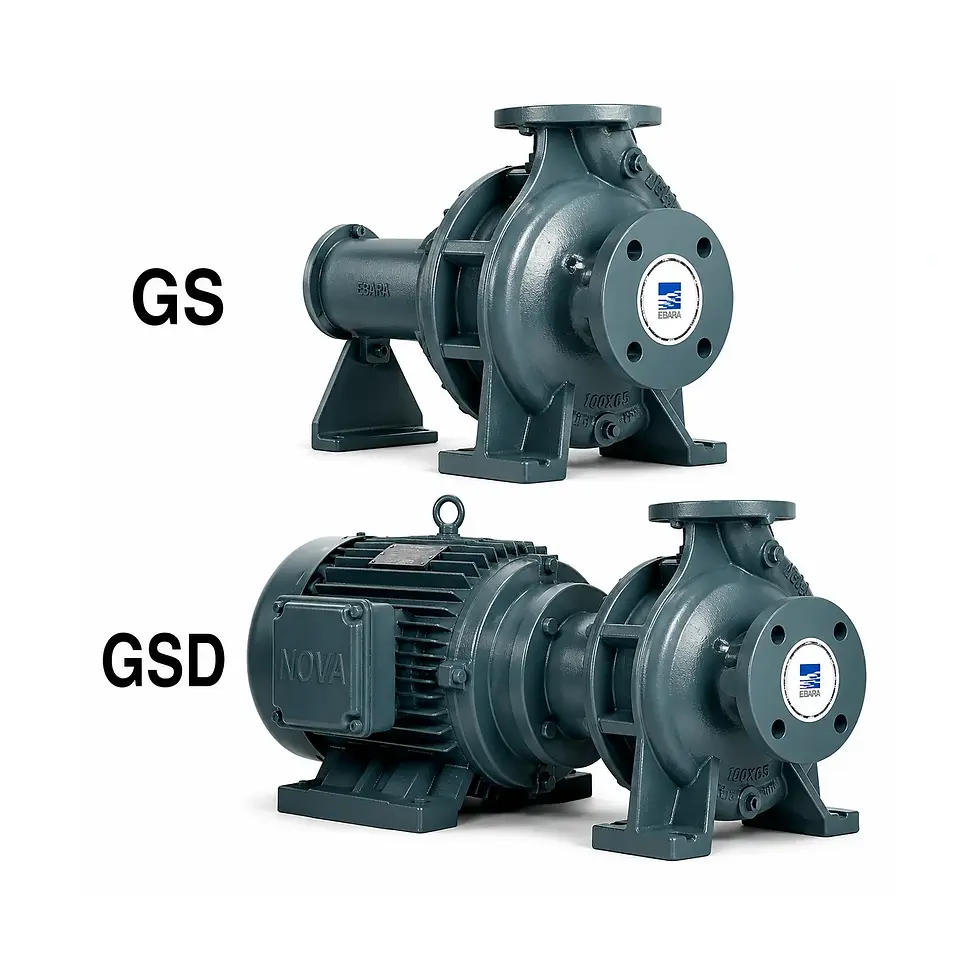 gs-gsd-serie-100-01 fundo branco_1500x1500px.webp