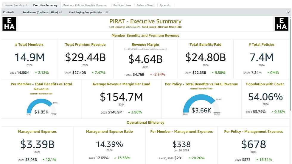 Executive Summary Screen Shot P.I.R.A.T Dashboard