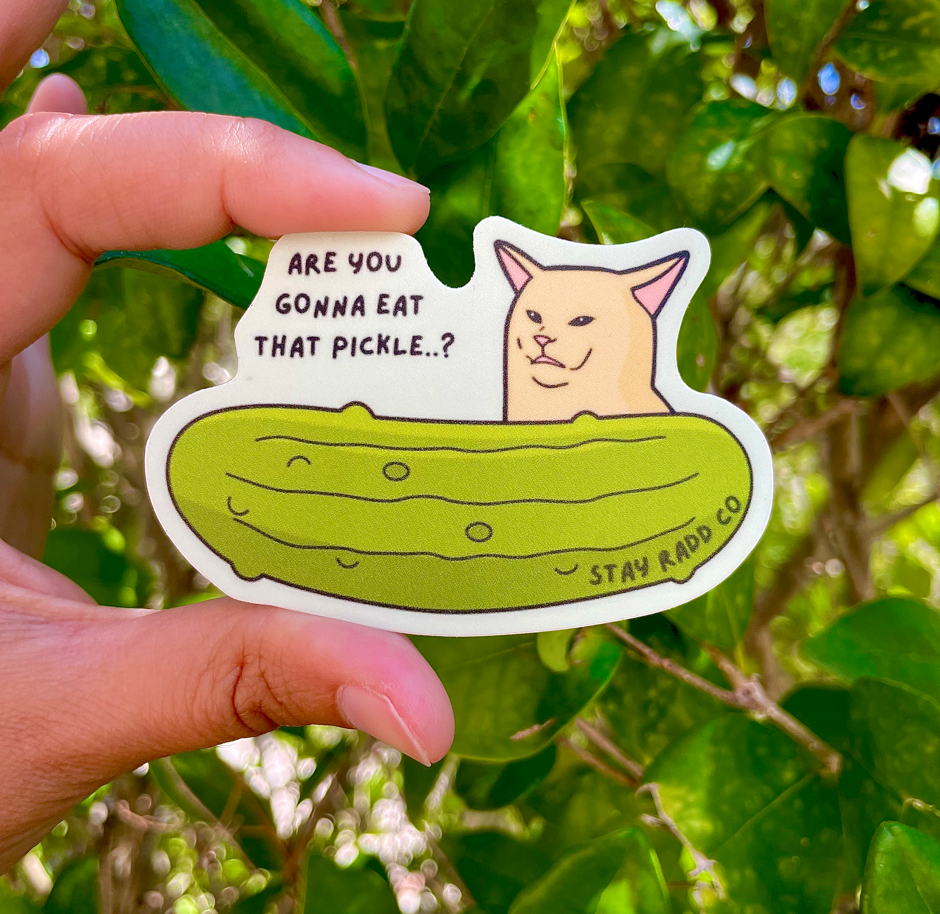 Are You Gonna Eat That Pickle Sticker