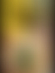 From 3rd Grade to Now: Revisiting Gulliver’s Travels