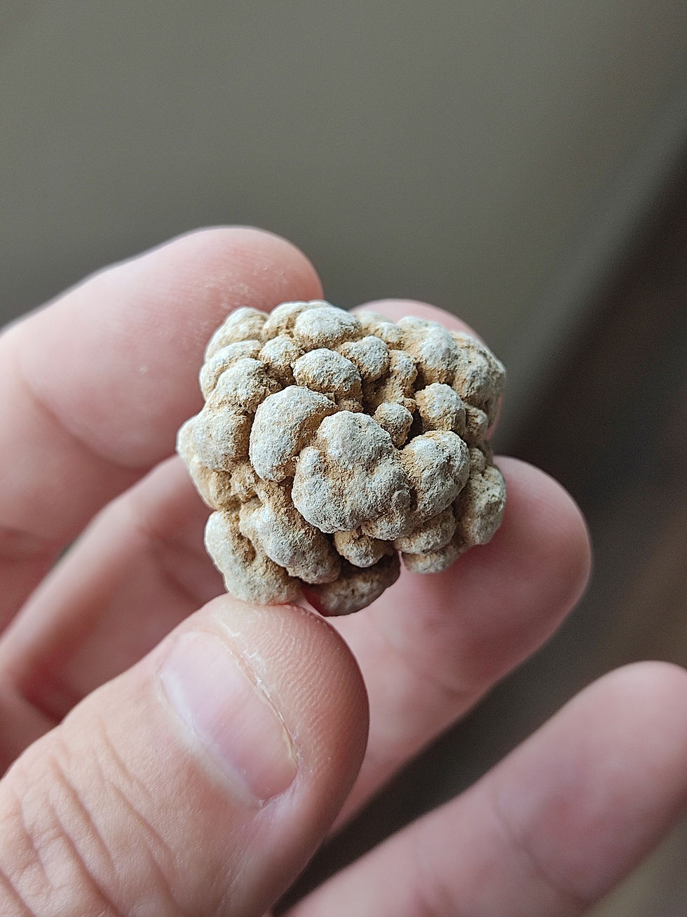 Thumbnail: Amazing Phra Tad Seewali Cave Element - Sacred Relic Stone for Growth Success