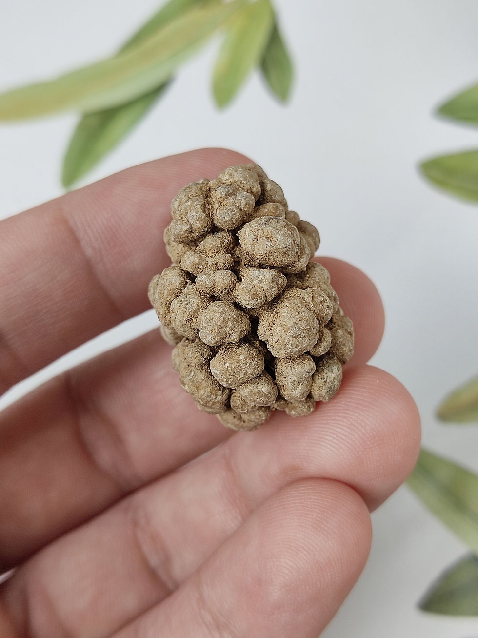 Thumbnail: Extraordinary Phra Tad Seewali Cave Element - Sacred Relic Stone for Growth