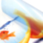 Thumbnail: A4 Transparent Glossy Sticker Vinyl Labels | Waterproof, Laser