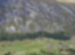 Leirdalen_2_edited.jpg