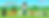 1 - Sunny Paws Adventures Video Presenta