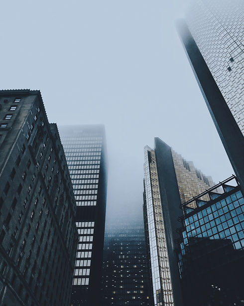 Tax Management Services
