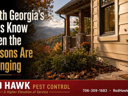 North Georgia's Bugs Know When the Seasons Are Changing