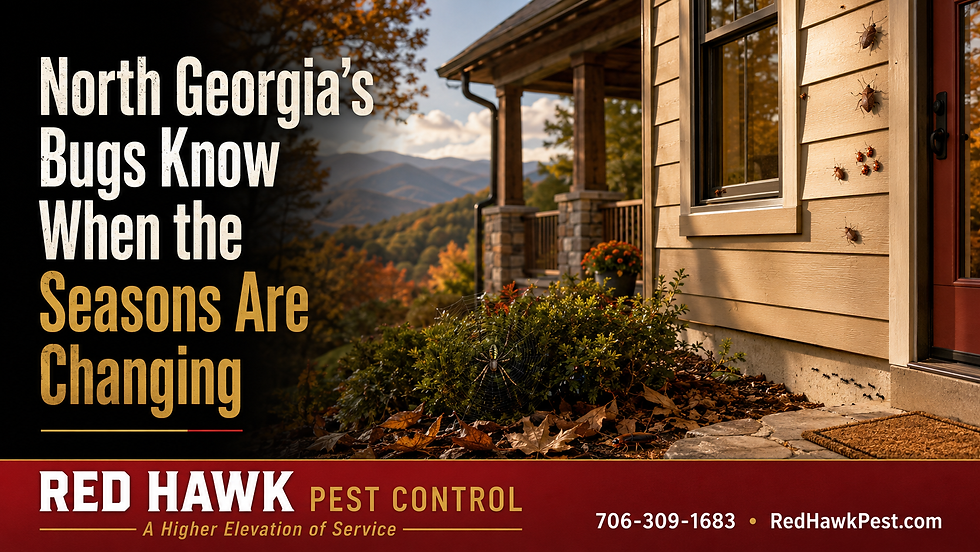 North Georgia's Bugs Know When the Seasons Are Changing