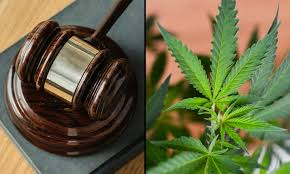 New Jersey on the Legalization of Marijuana