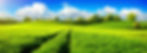 xhayfield-wide-angle.jpg.pagespeed.ic.NU
