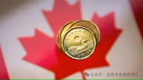 “万亿加元浪潮”:加拿大应对史无前例的财富转移