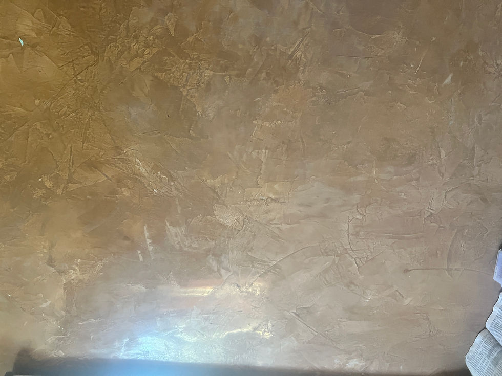Venetian Plaster Installation pt.4
