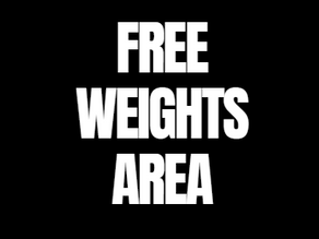 Free Weights Area Equipment within Phoenix Gym