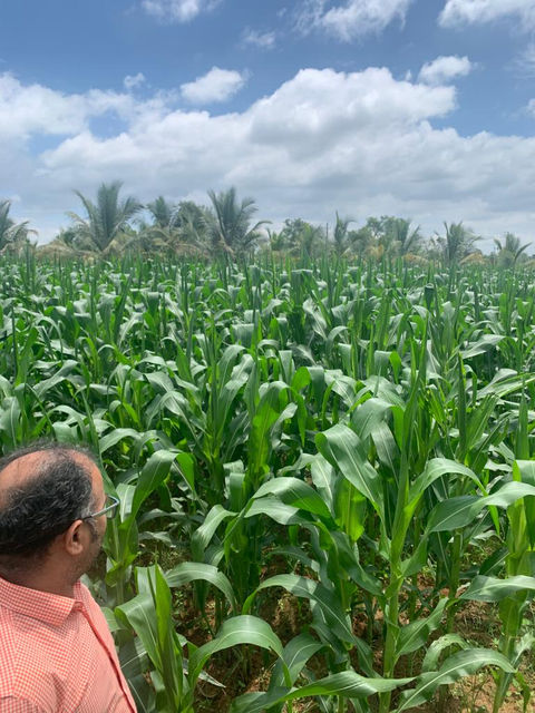 WhatsApp Image 2023-07-31 at 3.00.13 PM (1).jpeg