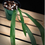 Thumbnail: Anthurium Pendens
