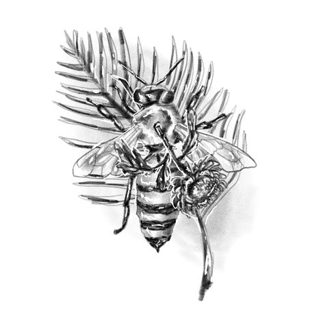 Drawing of a bee, stabbed by a chrysanthemum, standing on a palm leaf