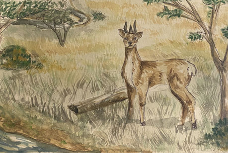A prehistoirc deer-like mammal standing in a Nebraskan Prairie