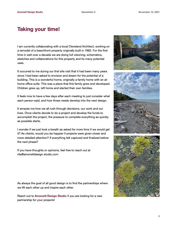 Newsletter 2- page 3