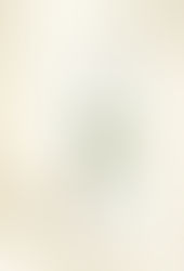 When did WHITE become color of the year?