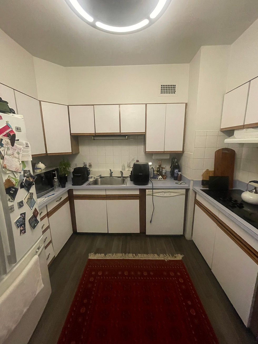 existing kitchen_2