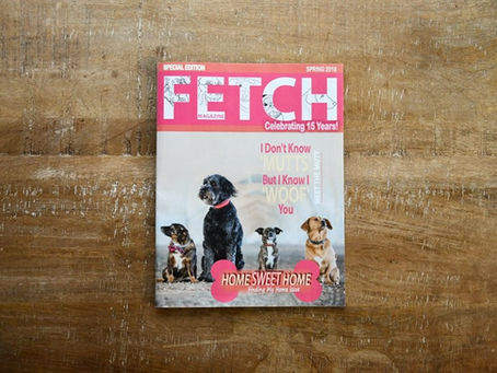 FETCH MAGAZINE
